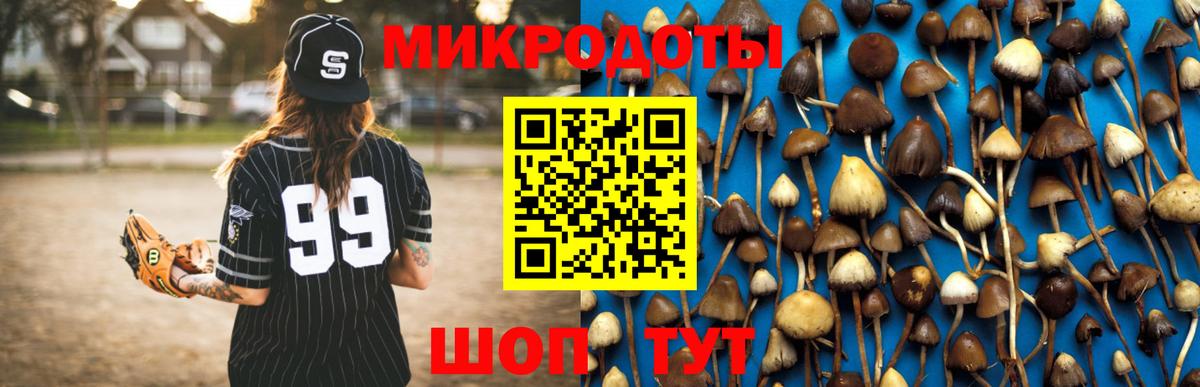 Наро-Фоминск  Псилоцибиновые грибы GOLDEN TEACHER  Вход с VPN 
